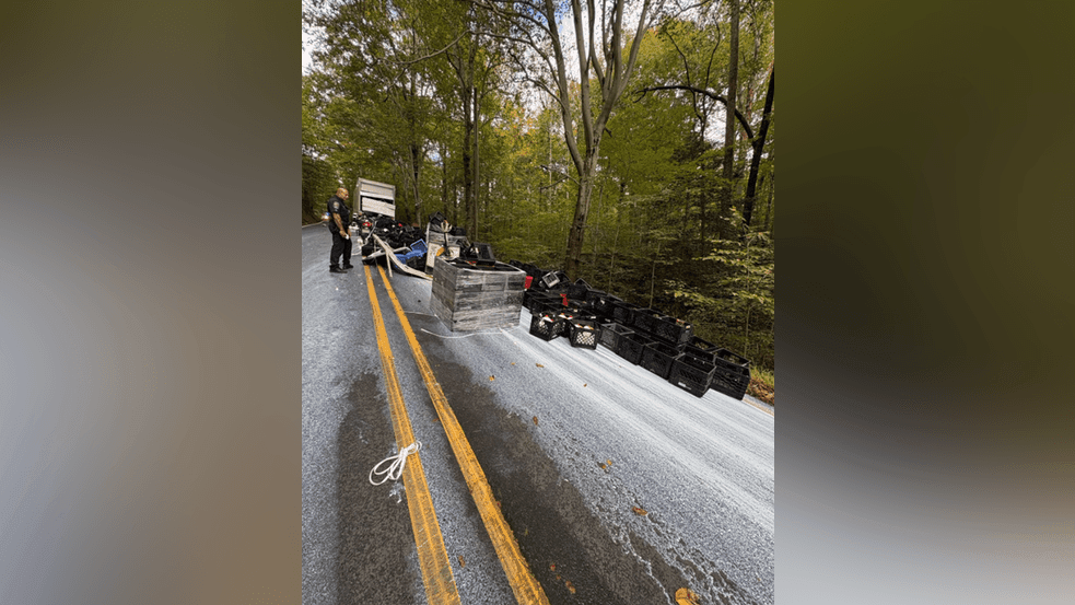 Dairy disaster: Big rig hauling milk spills cargo in Fairfax County ...