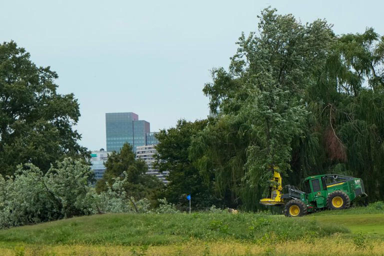 Judge blasts Trump's DOJ over 'inexcusable' tree removal at DC golf course