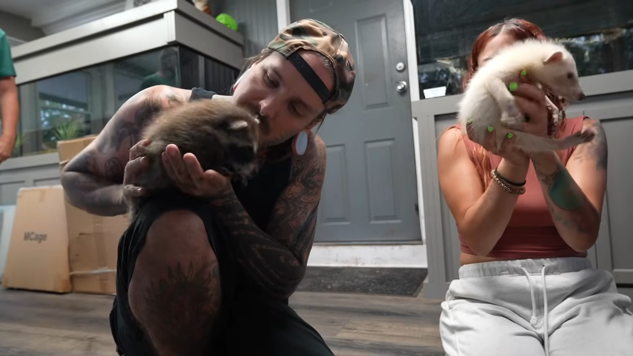 Meet Rocket, the newest member of Ryder's ranch - this little guy is ...