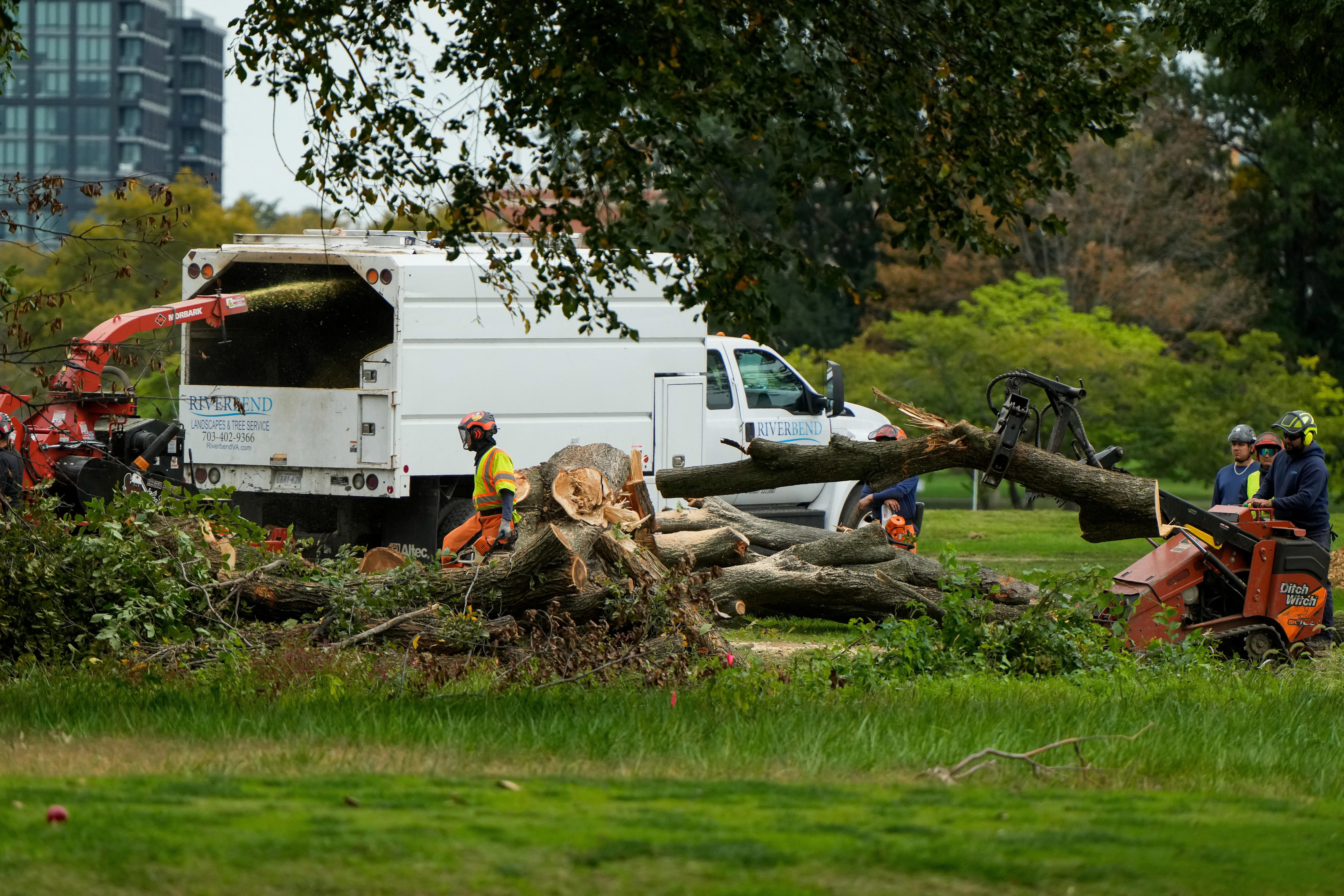 Judge furious over Trump admin cutting down 430 trees at DC golf course