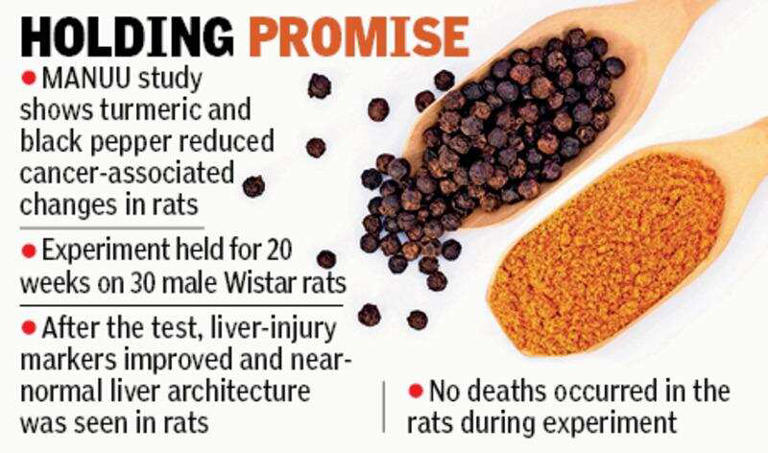 Compounds in turmeric, black pepper curb liver damage in rats: study