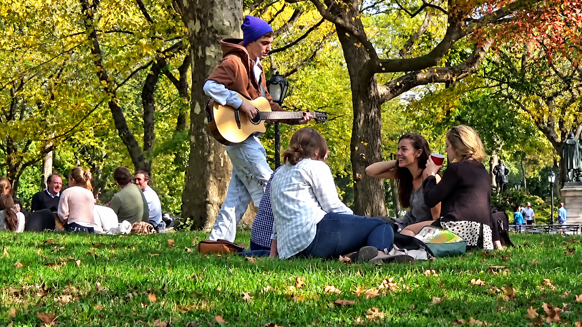 An acoustic song leads to a surprising response