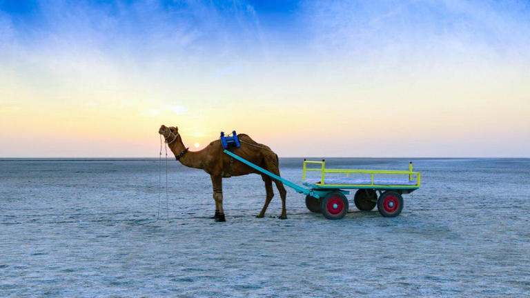 This white desert in India turns silver under the moon