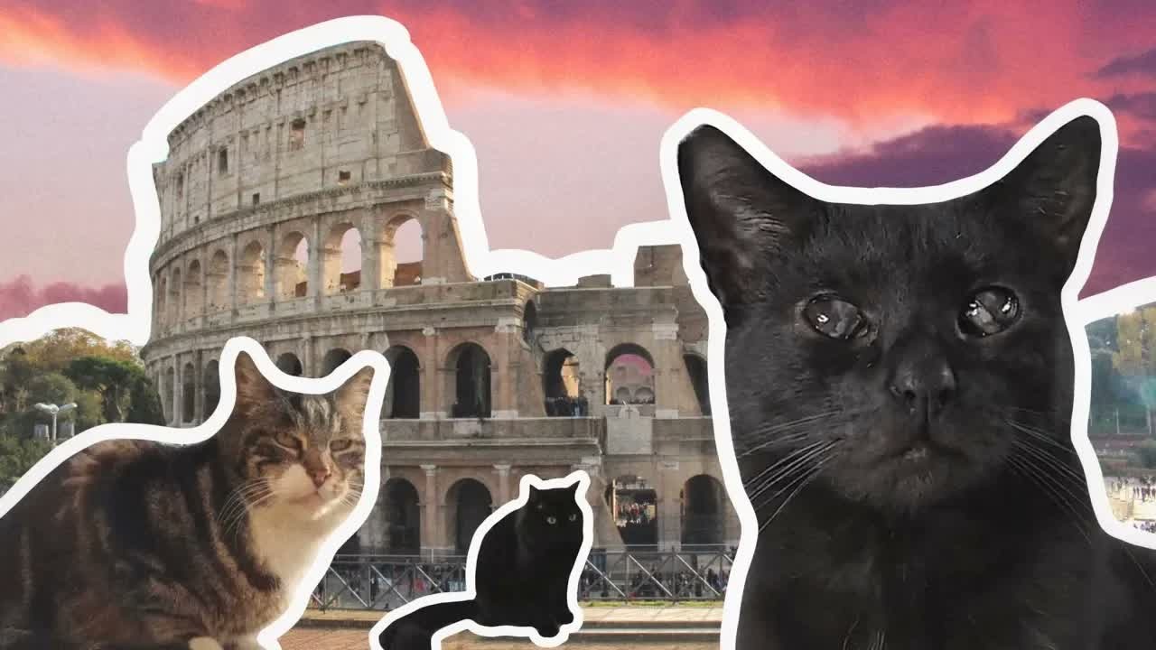 Hundreds of cats moved into the ancient ruins of Rome—here’s why