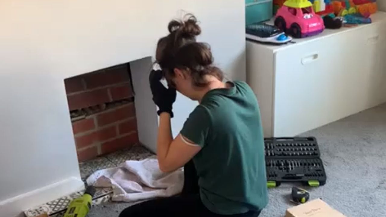 Sense of chaos takes flight as woman's pigeon rescue mission almost ...