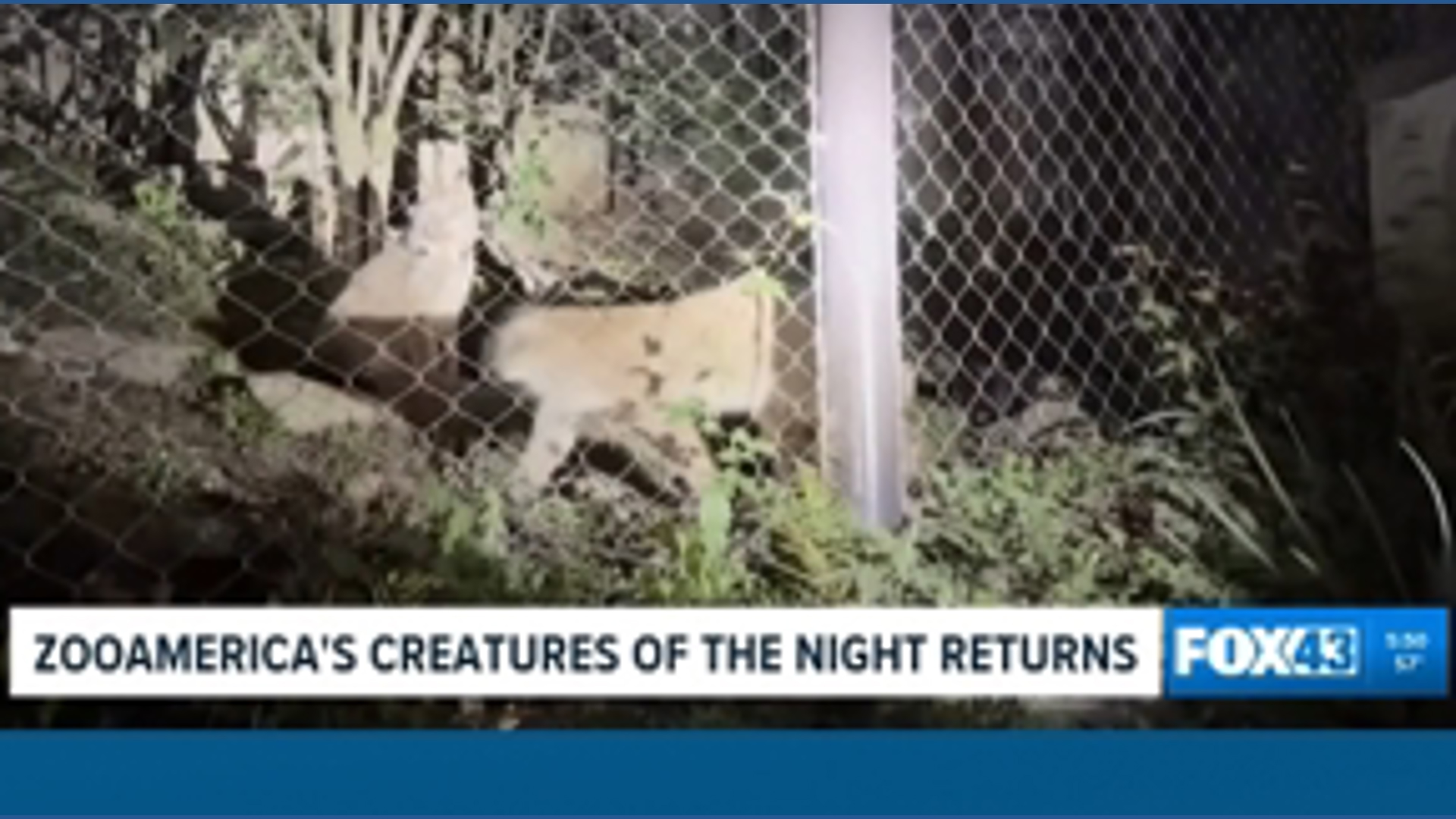 Creatures of the night event returns to ZooAmerica