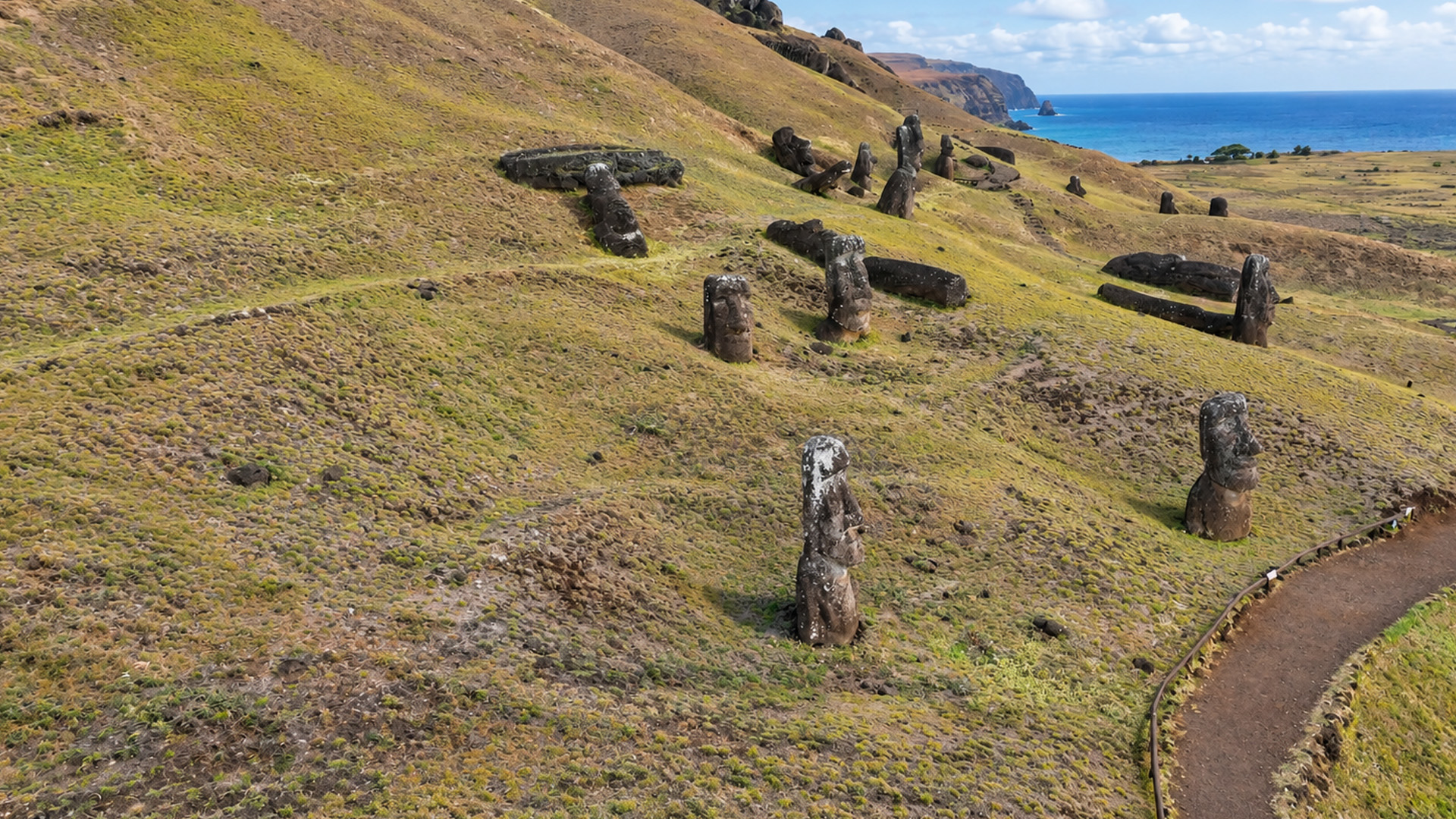 Massive stone faces rising from Easter Island's grasslands