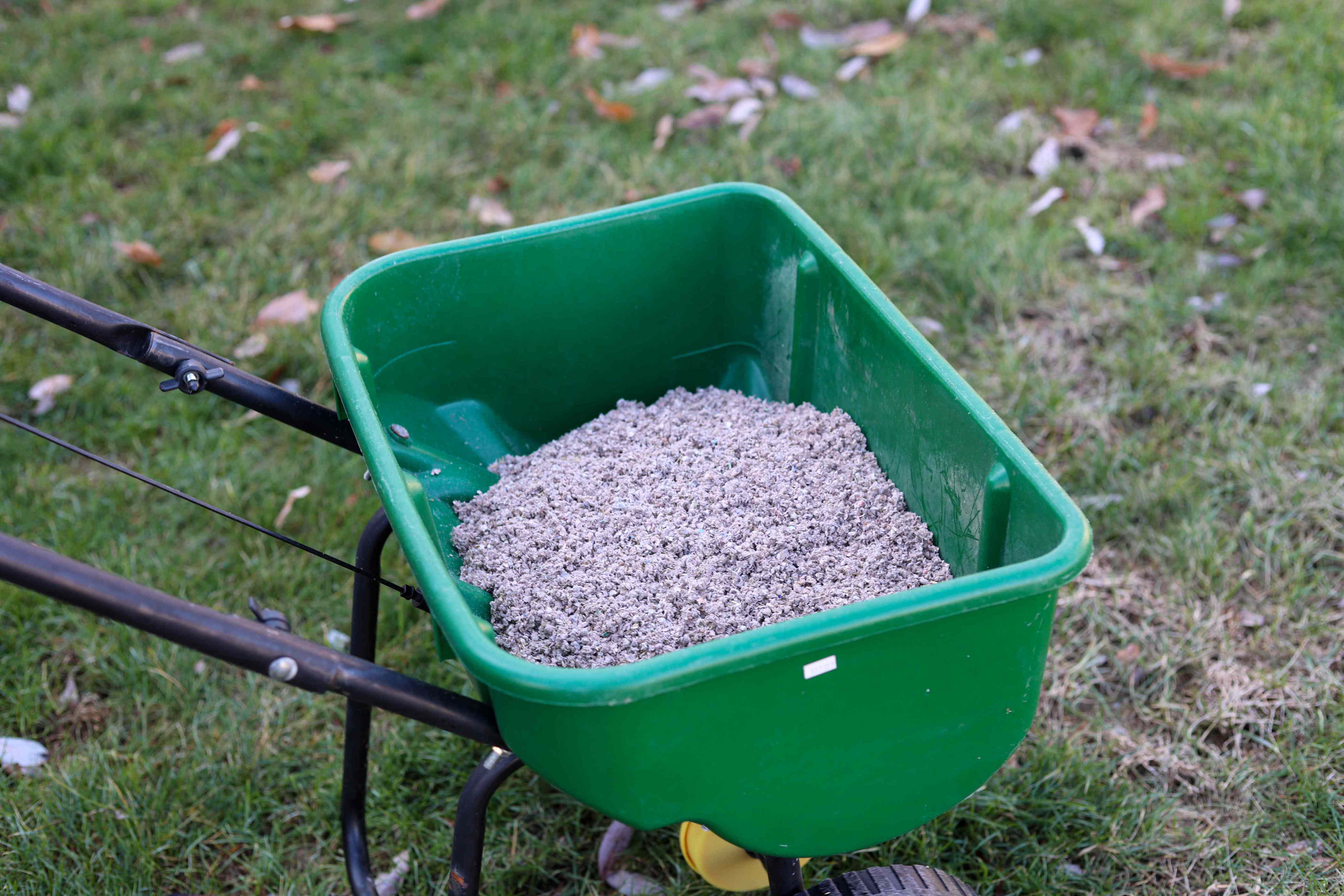 Can you overseed your lawn in fall?