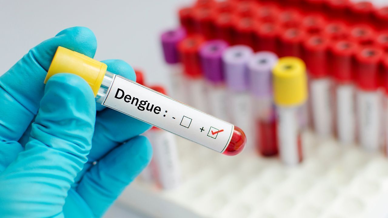 Dengue outbreak in Pune: Kothrud reports highest number of cases at 229 ...