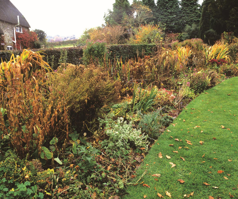 Don't put your garden to bed until you've done these 6 things – as ...