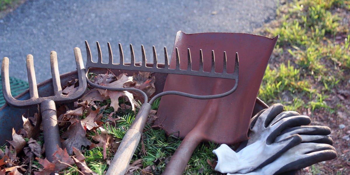 Now is the time to start prepping for your spring garden—experts ...
