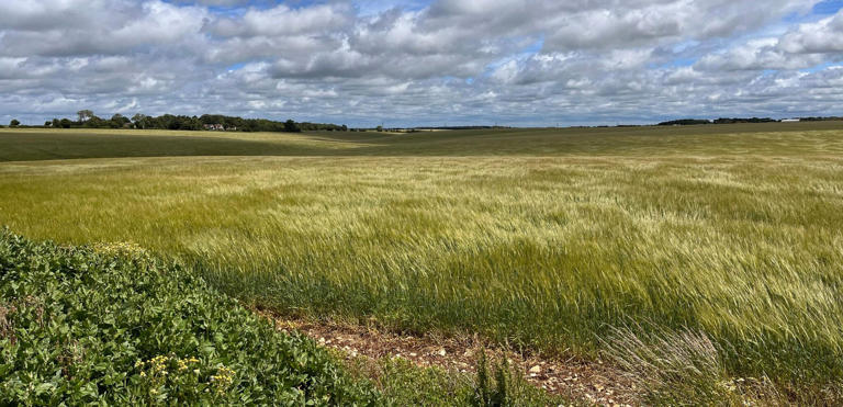 Public exhibitions announced for proposed solar farm near Sleaford