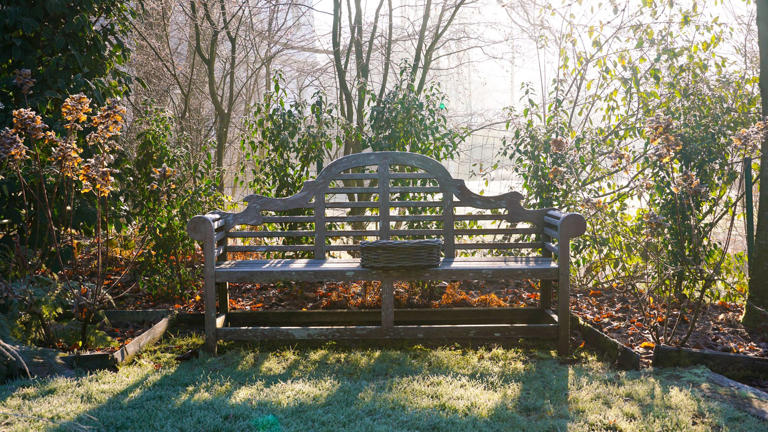 Don't put your garden to bed until you've done these 6 things – as ...