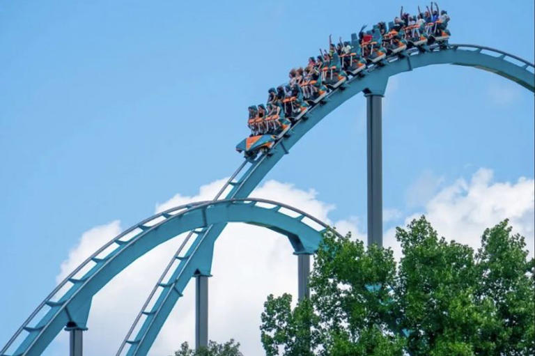 Man dies after fall from giant rollercoaster while son strapped in ...
