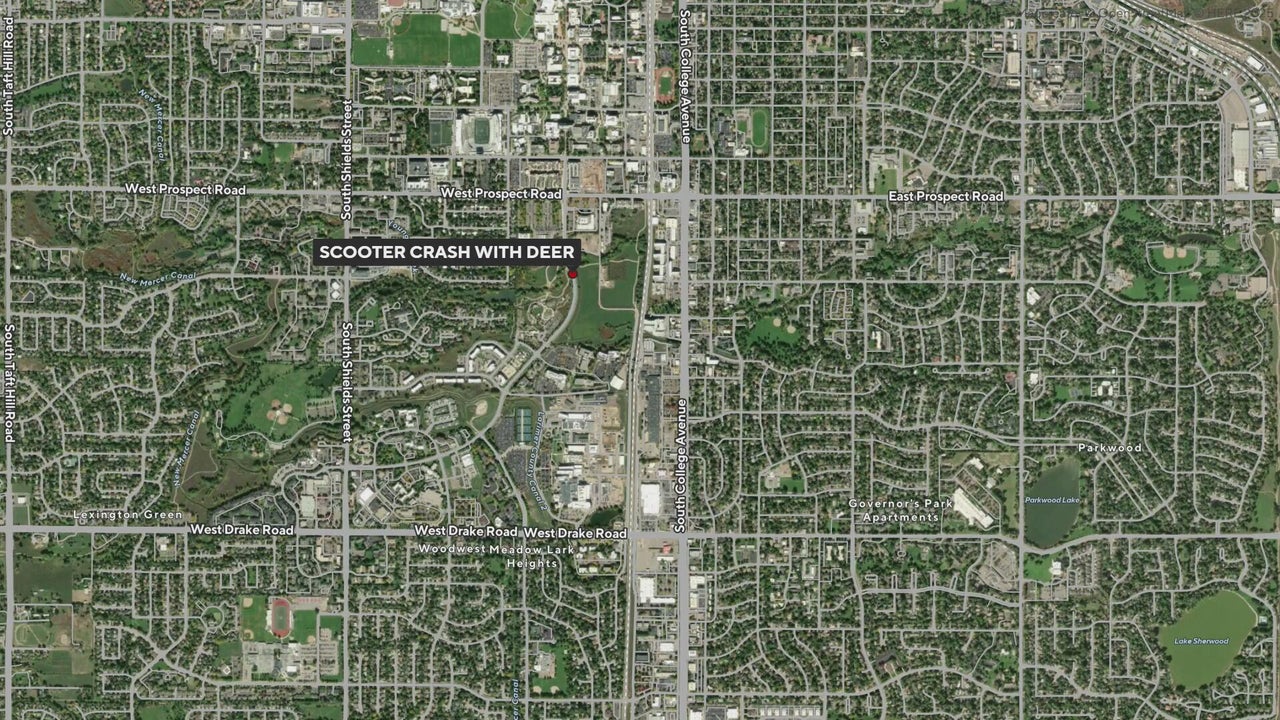 Man seriously injured after crashing into deer in northern Colorado