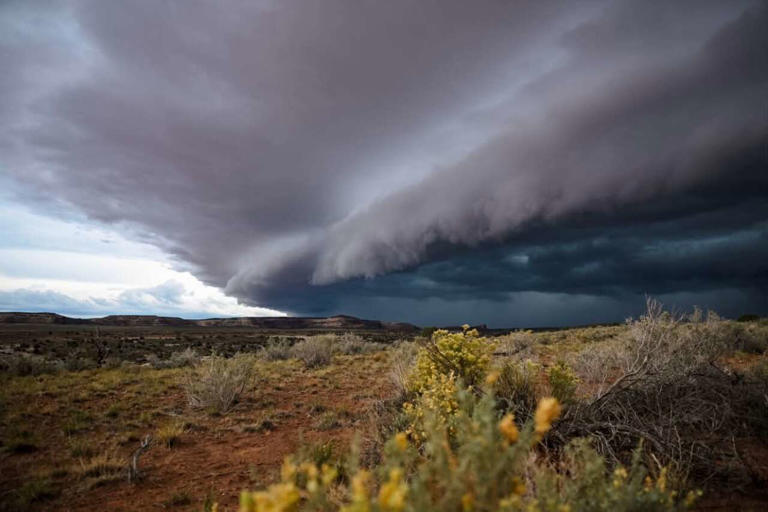 Desert flooding traps 70 ultramarathoners in 'war zone' conditions
