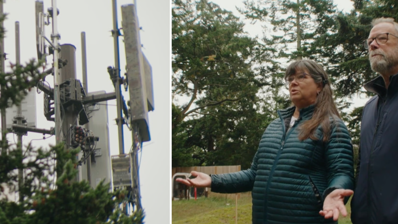 Utility Tower Easement Dispute: Washington couple sue OPALCO over ...