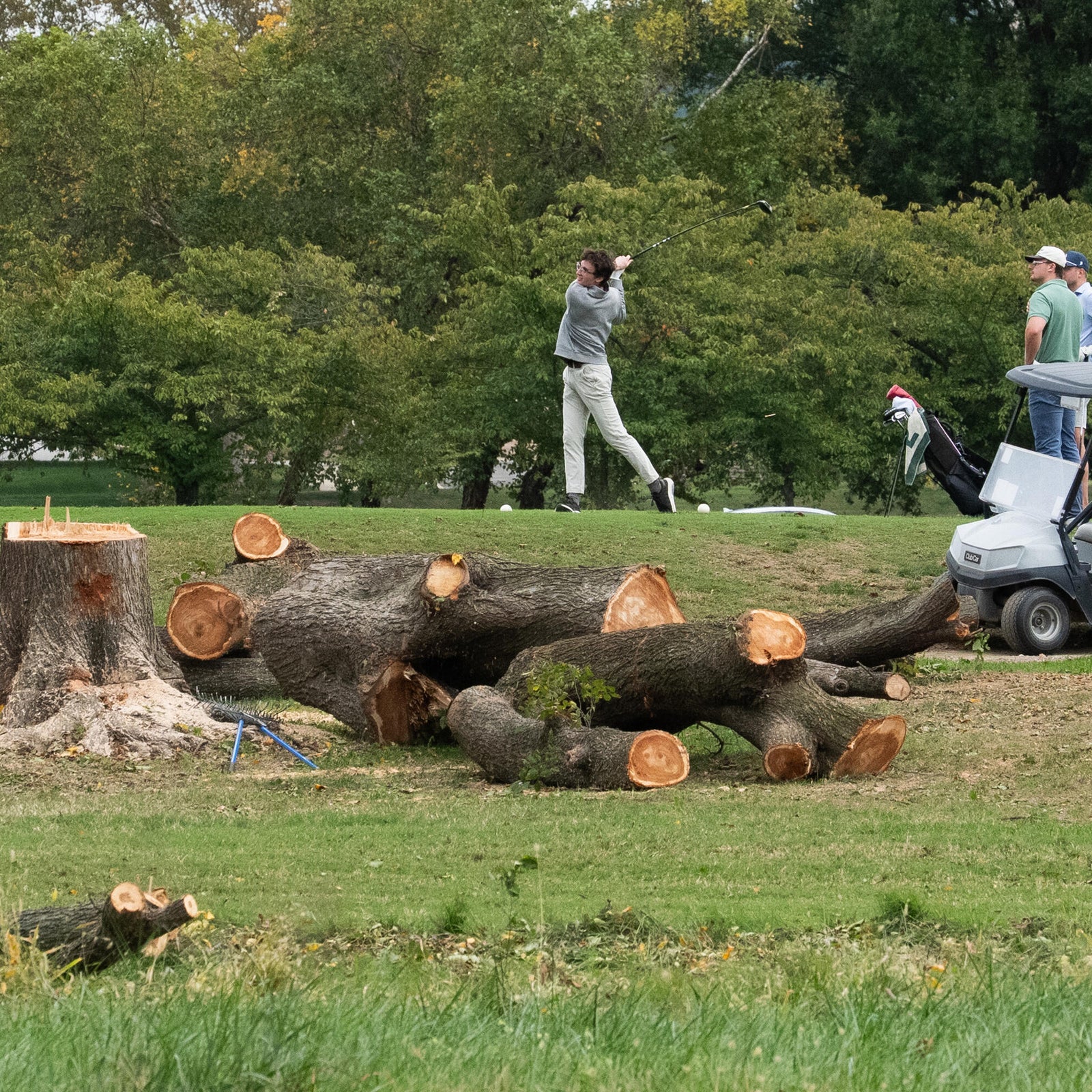 Judge chastises DOJ lawyers after 430 trees cut down at DC golf course
