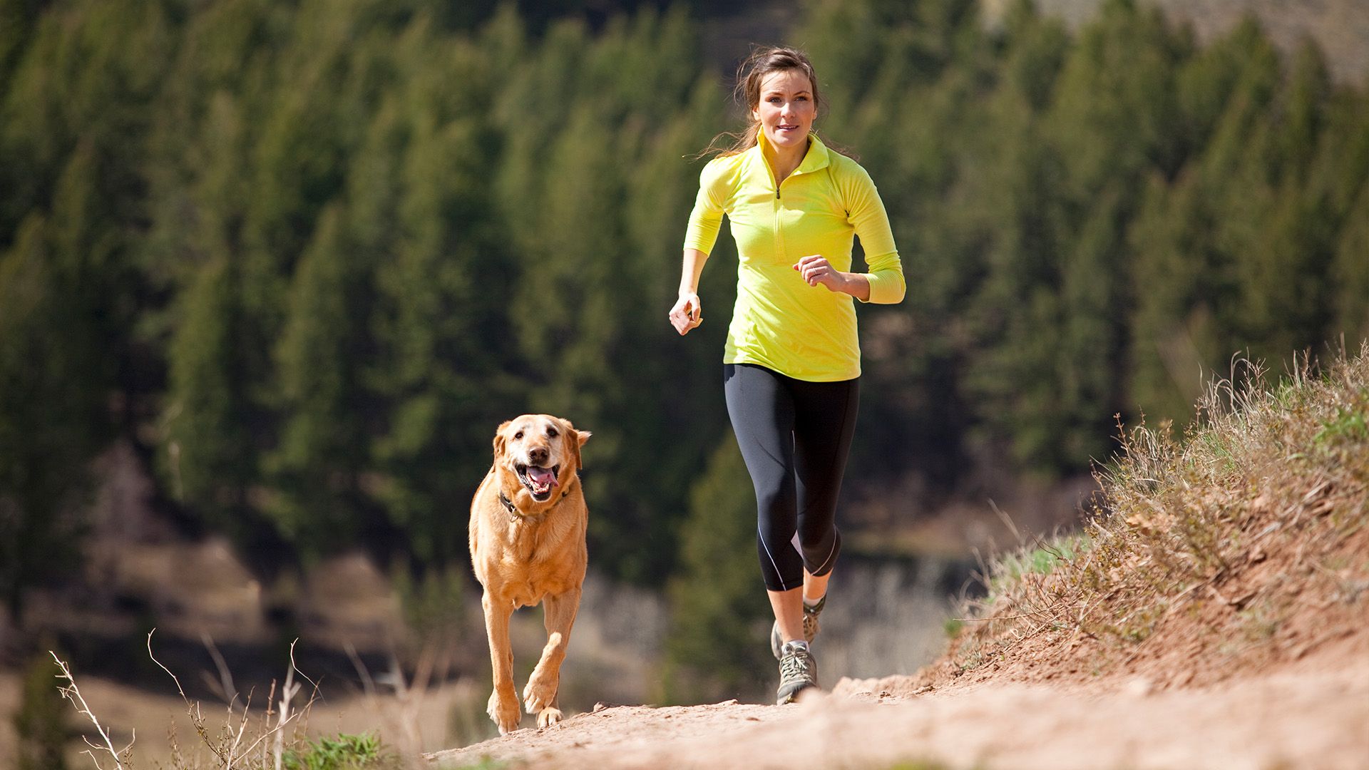 Best dogs for runners