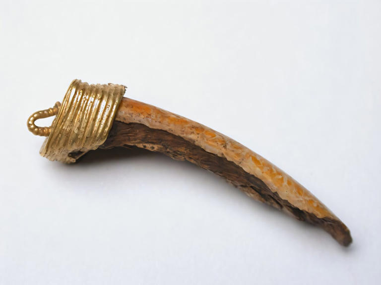 New research traces the origins and human impact of Britain's largest ...
