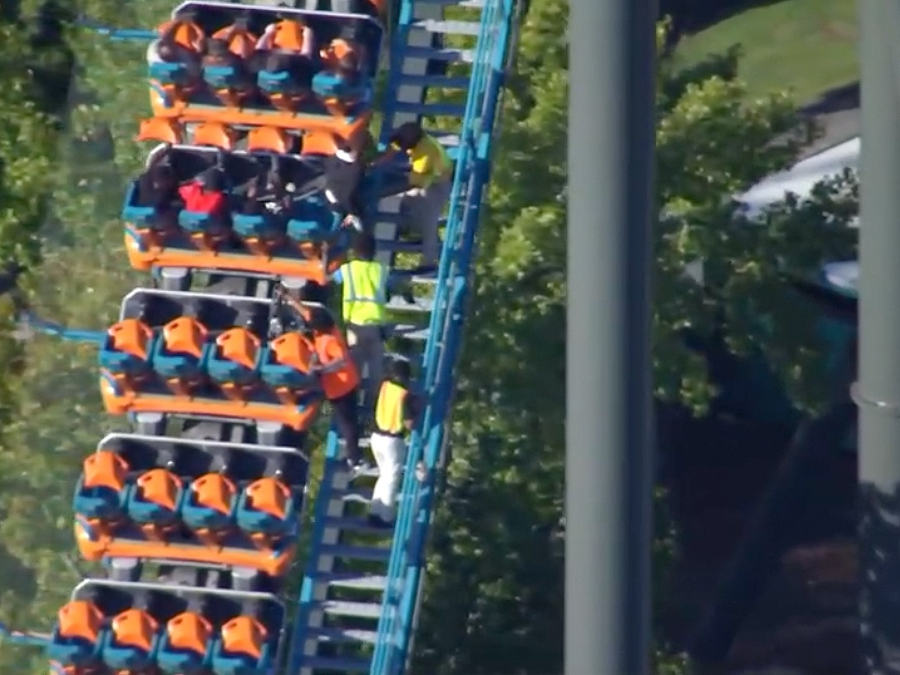 Atlanta school worker dies after falling from Six Flags roller coaster ...