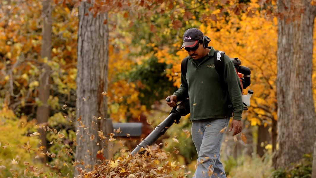 6 common fall landscaping myths explained