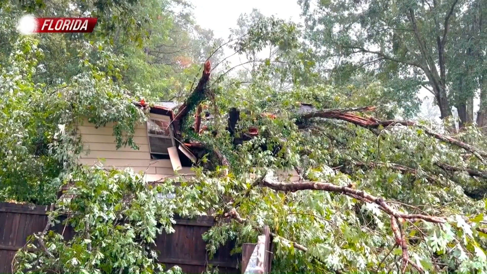Hurricane Isaias leaves destruction across Florida’s Gulf Coast