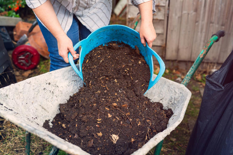 Now is the time to start prepping for your spring garden—experts ...