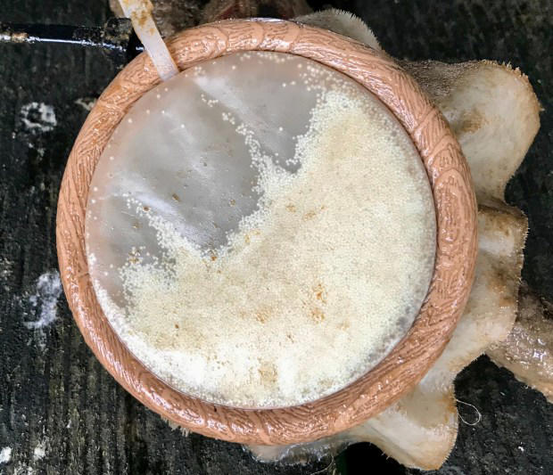 UC Santa Cruz study finds new method to predict domoic acid outbreaks