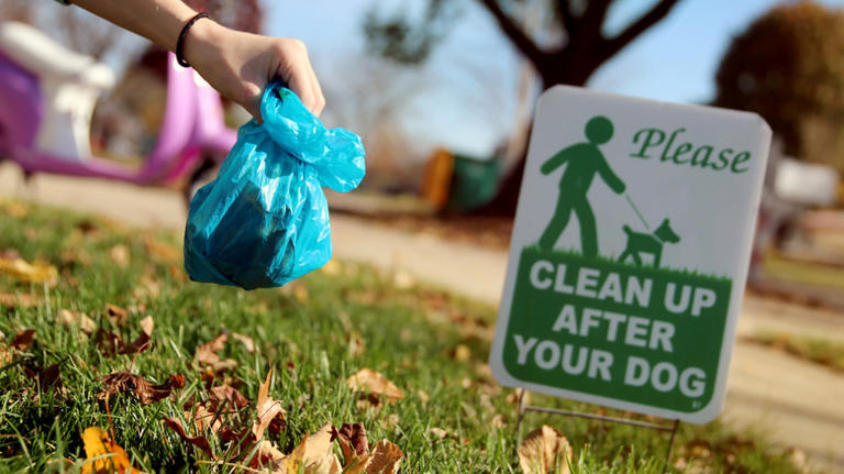 Can I throw my neighbor's dog poop back in their yard?