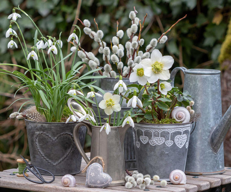 Don't put your garden to bed until you've done these 6 things – as ...
