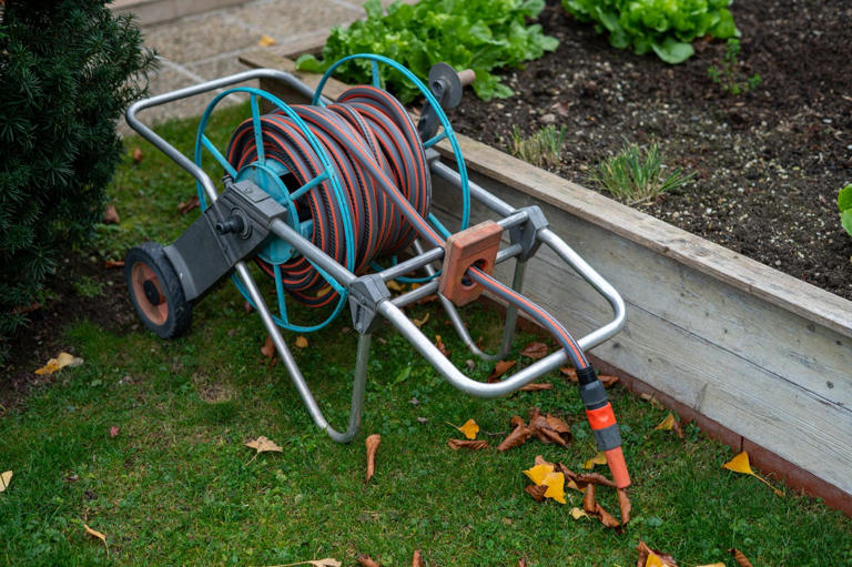 Now is the time to start prepping for your spring garden—experts ...