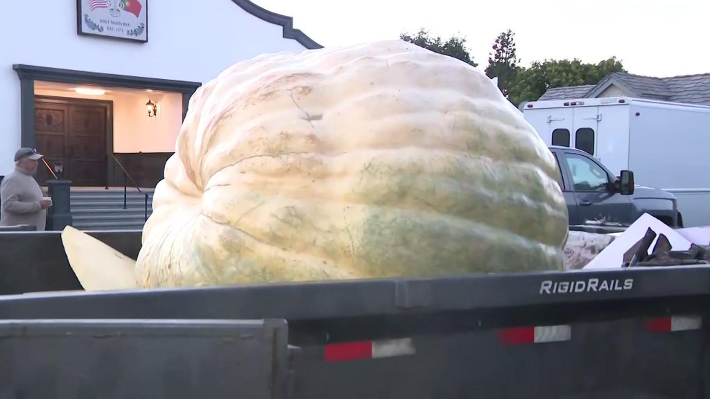 Minnesota man drives hauls giant pumpkin over 2,000 miles to California ...