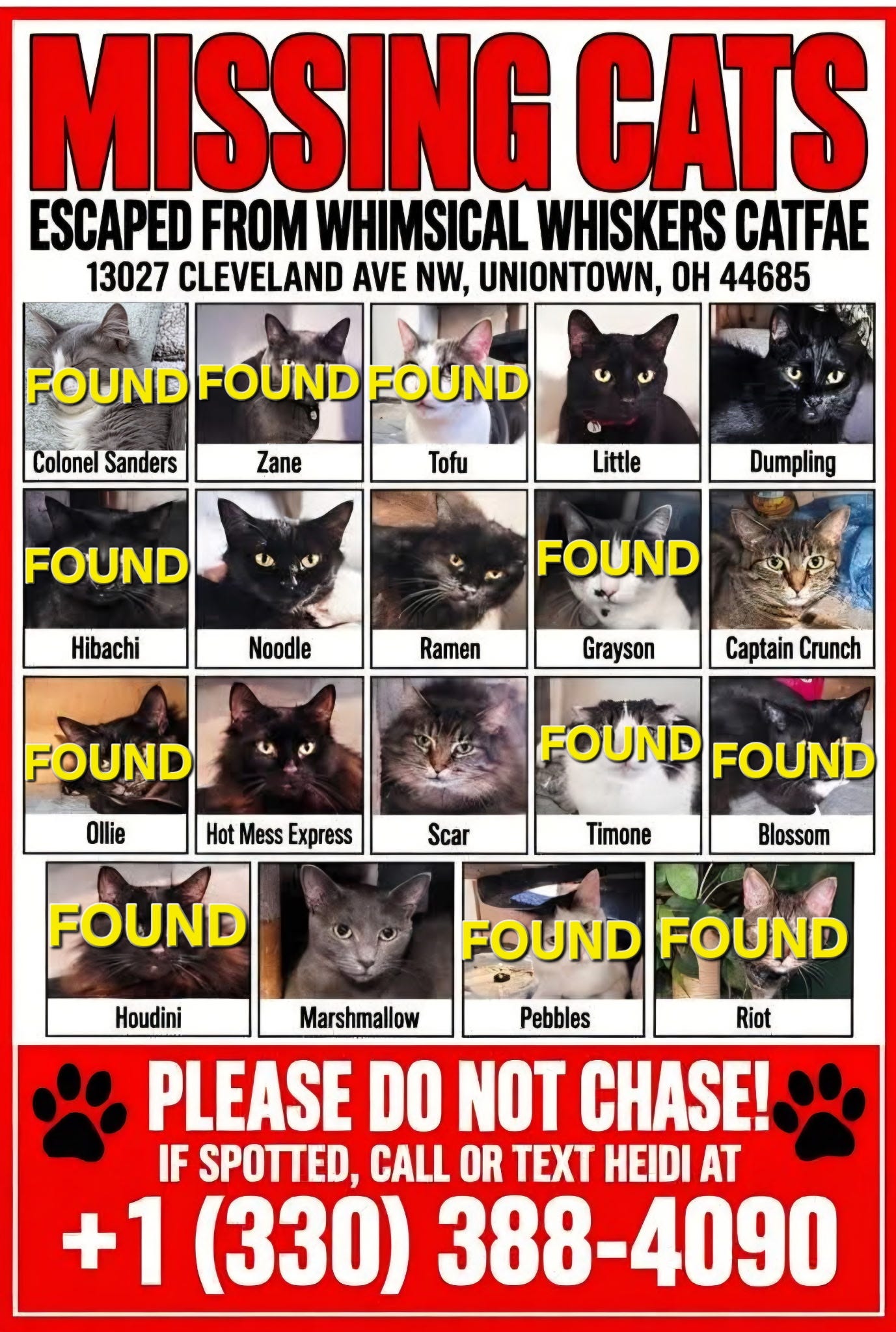 Lake Twp sanctuary continues search for missing cats; two still missing