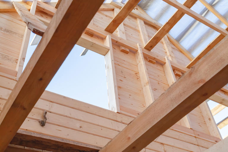 Almost every American house is built from an idea that required cheap ...