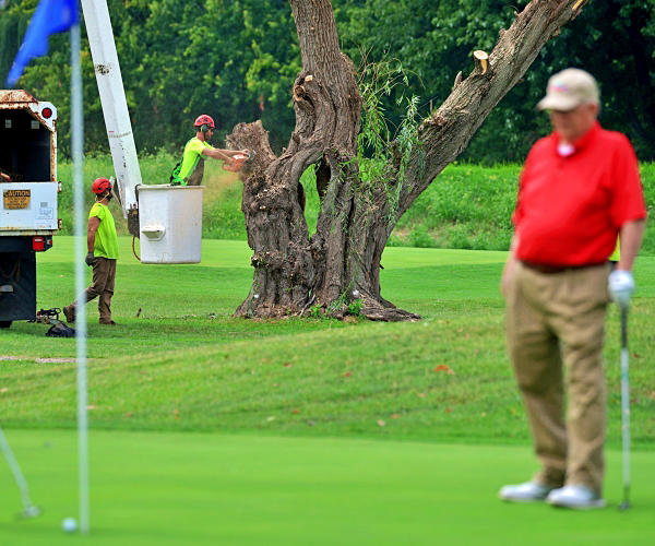 Judge halts tree cutting at DC golf course after hundreds felled