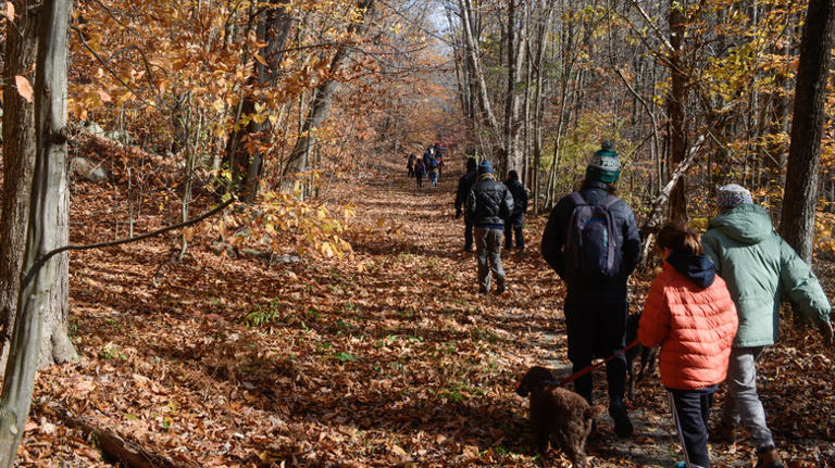 One of the best spots for scenic camping outside NYC is this state park ...