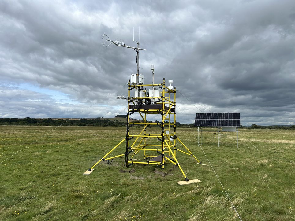 How can scientists measure the carbon storage power of saltmarshes?
