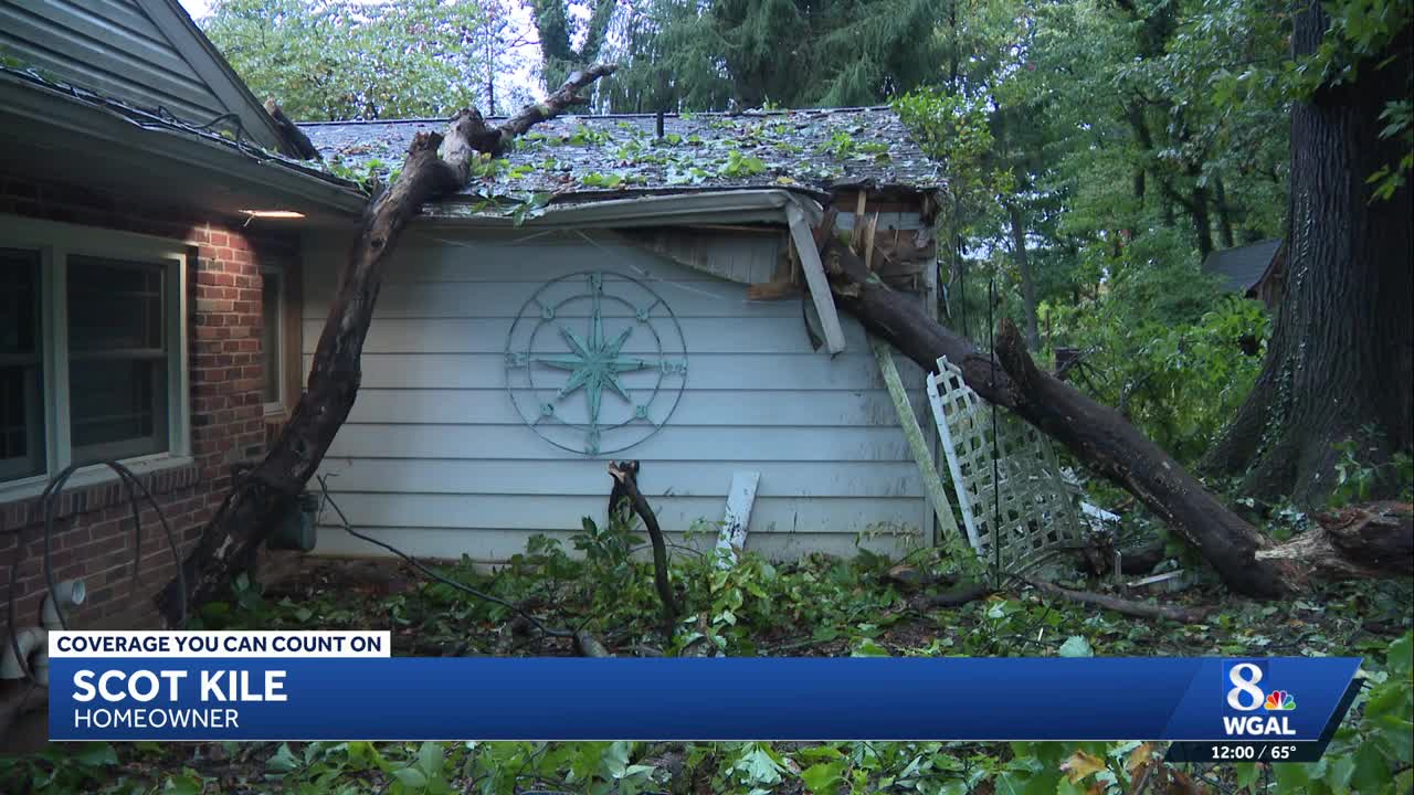 Large tree topples onto York County house