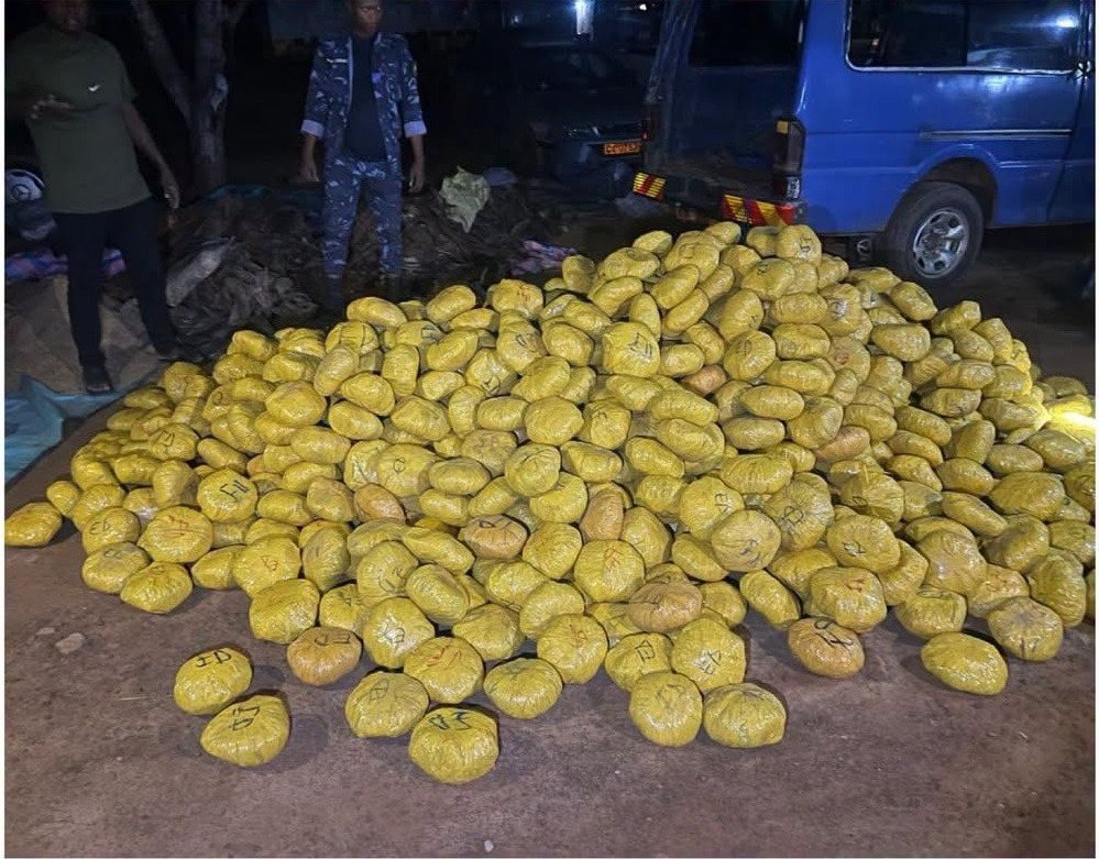 Bantè : la police saisit 1 031 boules de chanvre indien