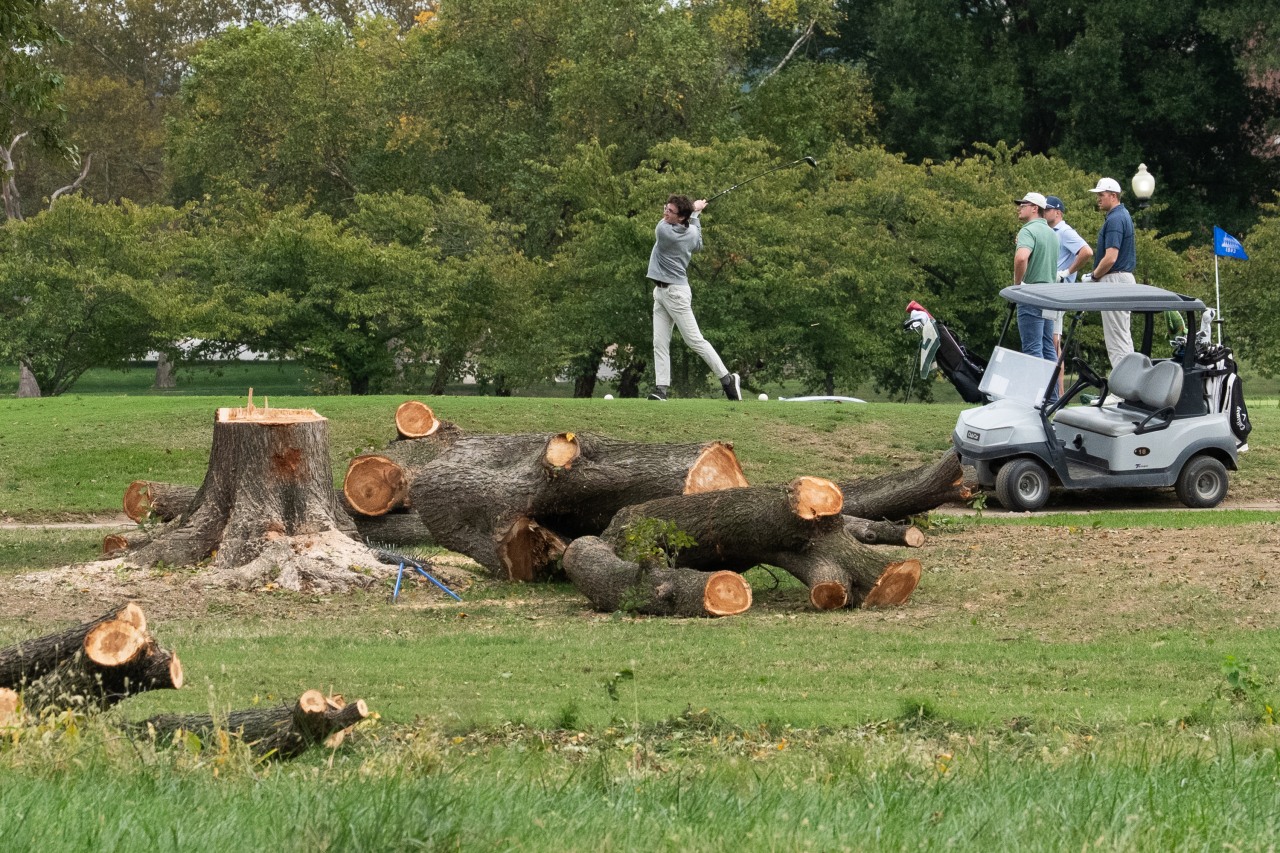 Judge yells at Trump administration for cutting down golf course trees