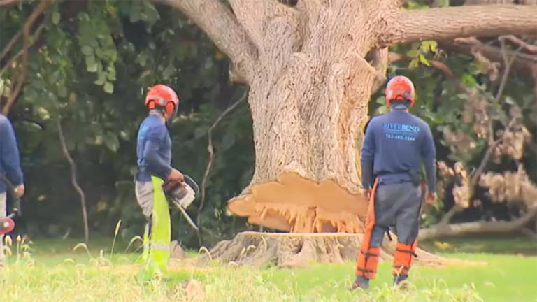 Tree-cutting equipment removed from East Potomac Park Golf Course