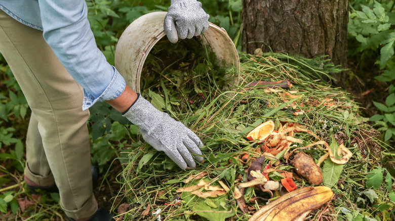 Can you put eggs in the compost?