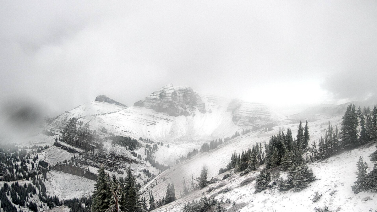 Winter Is Gaining Steam, Snow Forecasted To Fall Across Colorado, Utah ...