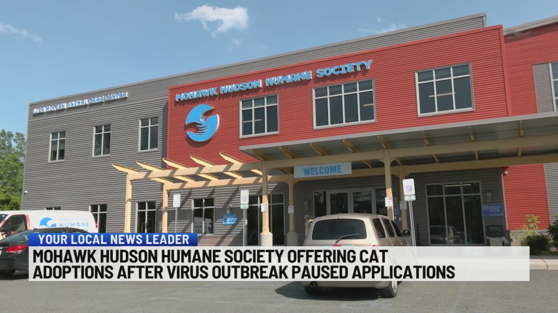 Mohawk Hudson Humane Society offering cat adoptions after virus ...