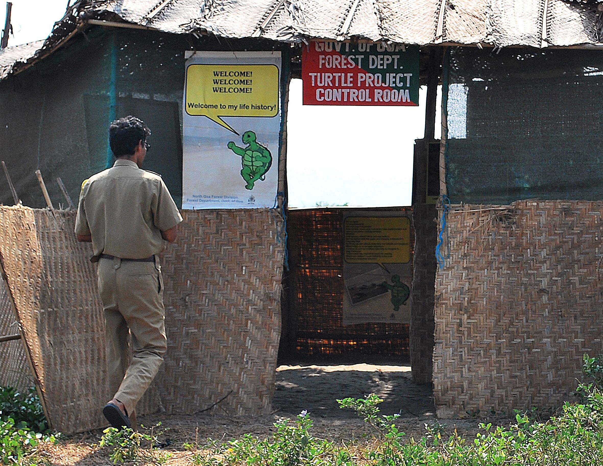 Turtle conservation panel to review apex court SOPs, steps up night patrol