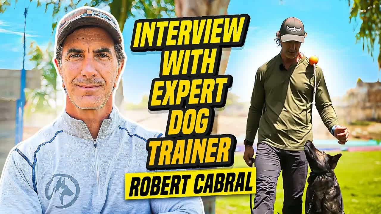 Why expert advice from Robert Cabral changes how people understand ...