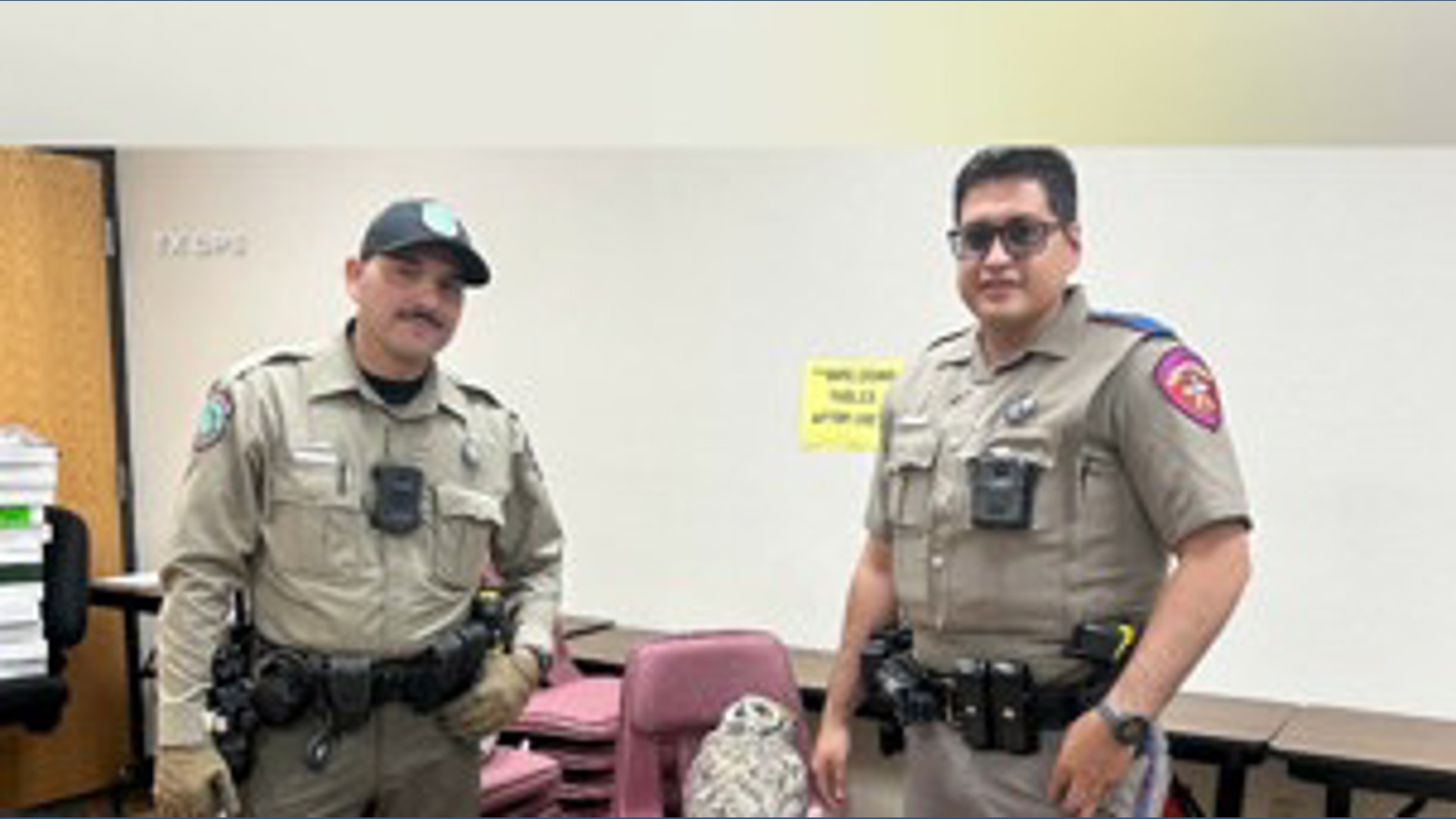 Texas DPS rescues injured owl