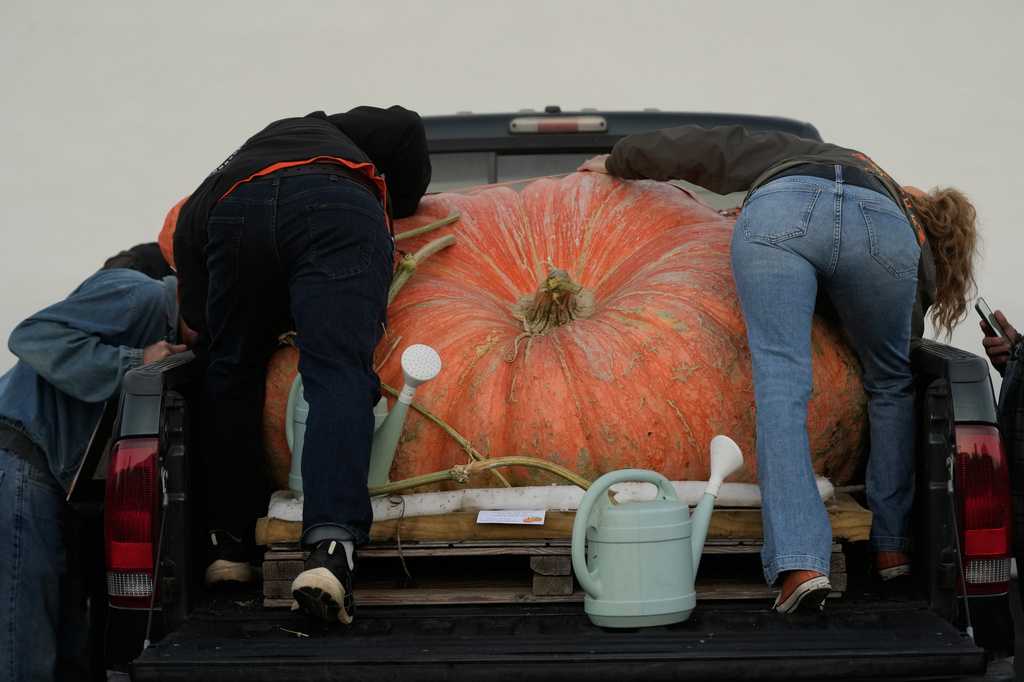 Half Moon Bay weigh-off crowns 2,389-pound pumpkin; Rhode Island gourd ...