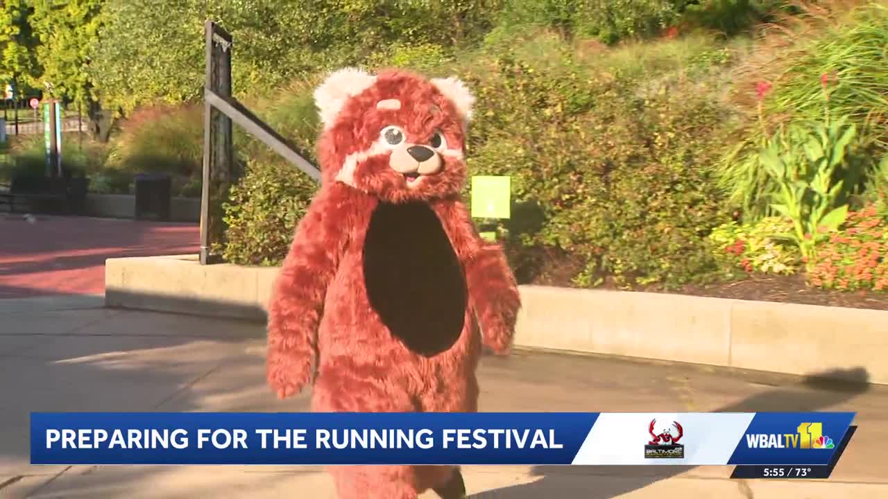 Baltimore Running Festival route includes Maryland Zoo